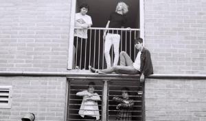 orwells