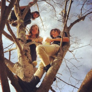 quilt-band