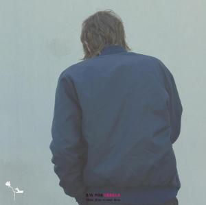 white-fence-pink-gorilla